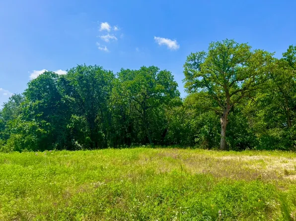 49 Wicklow Ct, Poolville, TX 76487