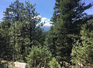 83 Conifer Dr, Evergreen, CO 80439