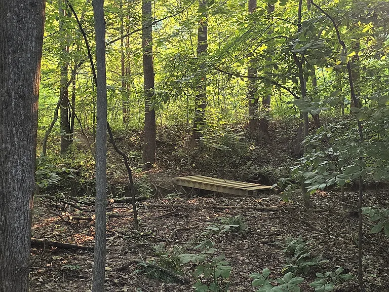Walking paths throughout the neighborhood