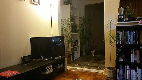 1st image of 241 Sherman Ave APT K