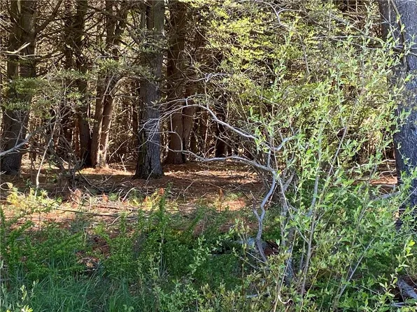 Royce Road, Bethel, NY 12720