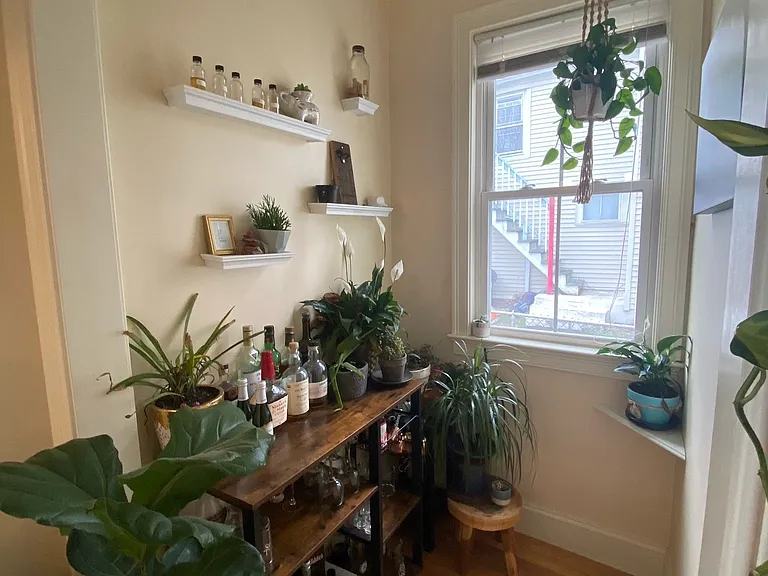 27 Lothrop St #1A — Photo 15