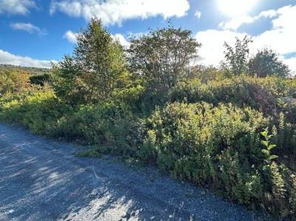 16 Penney's Avenue, Salmon Cove, NL A0A3S0