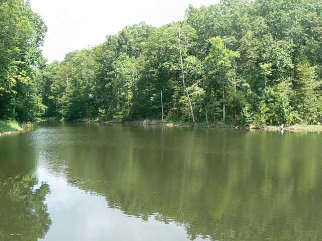 2nd image of 1029 Champion Hills Dr Lot 54