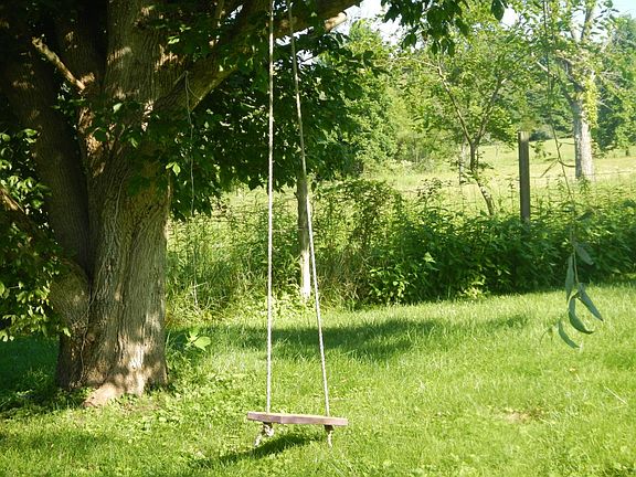 side yard & field behind the house