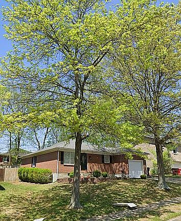 2nd image of 109 Madonna Dr
