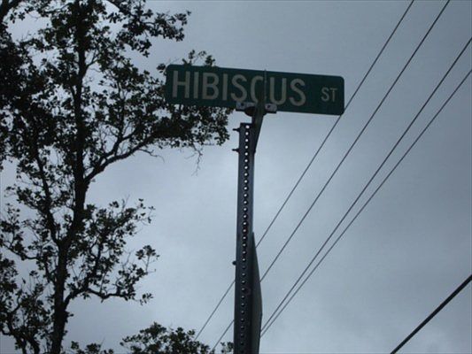 2nd image of Hibiscus St Lot 7672