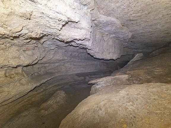 56th image of this home