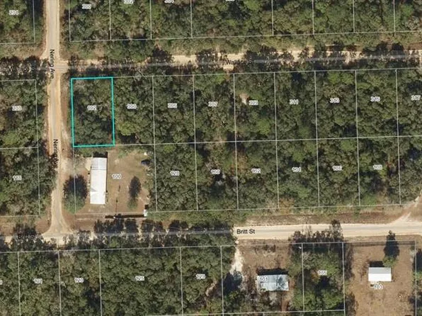 102 Nering Ave #1, Interlachen, FL 32148