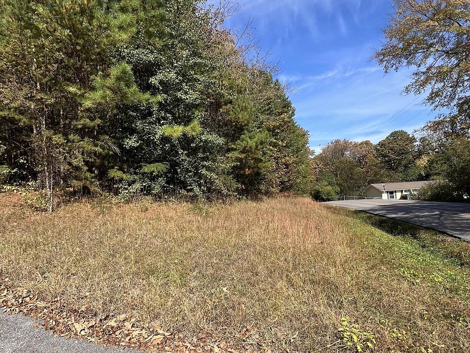 2nd image of 0 Delashmitt Rd