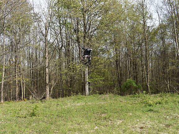 4th image of Hunt Rd