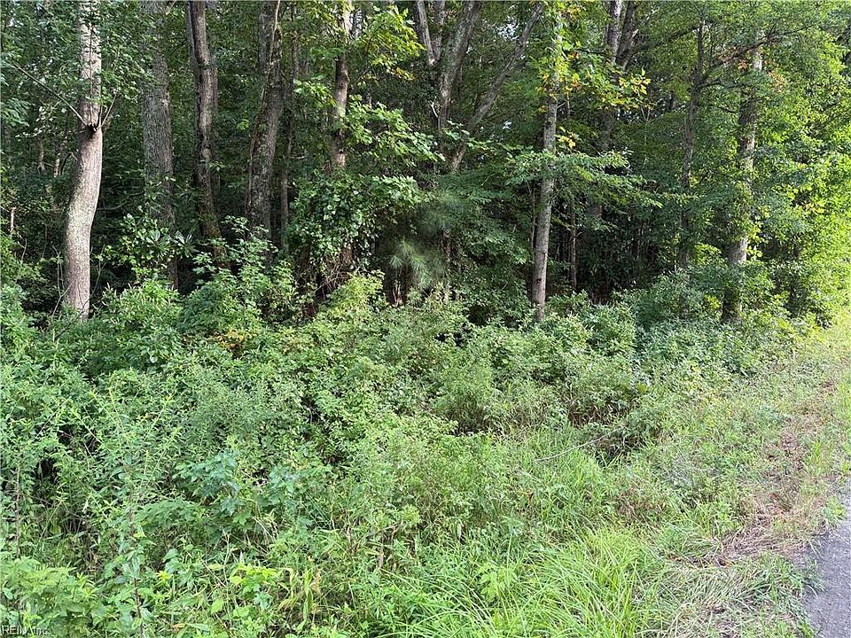 2nd image of 100AC Clay Bank Rd