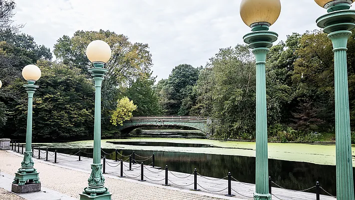 Rented by Douglas Elliman | media 26