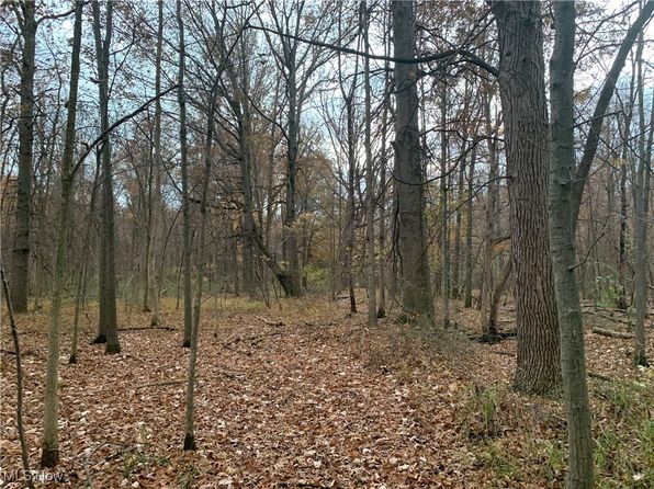Sterling Rd, Sheffield Lake, OH 44054