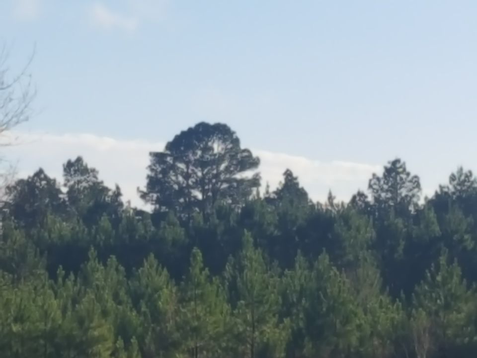 2nd image of 0 Earl Linsay Rd