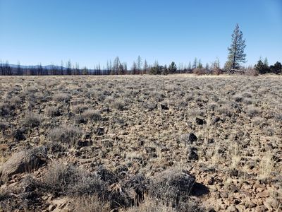 LOT Three N White Fir Way, Bly, OR, 97622