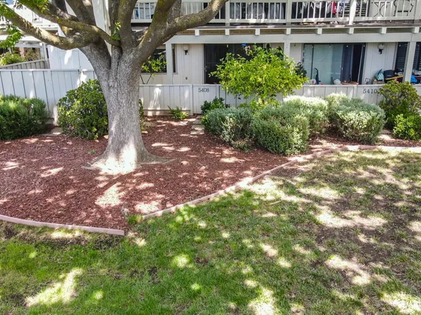 5408 Cribari Ct, San Jose, CA 95135