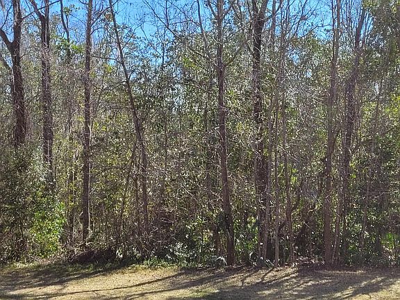 View on patio from living and kitchen