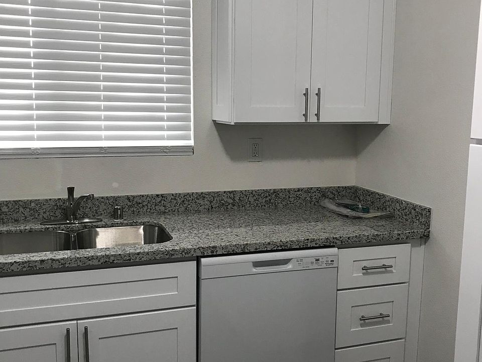 Granite countertop with stainless steel double sink and dishwasher.
