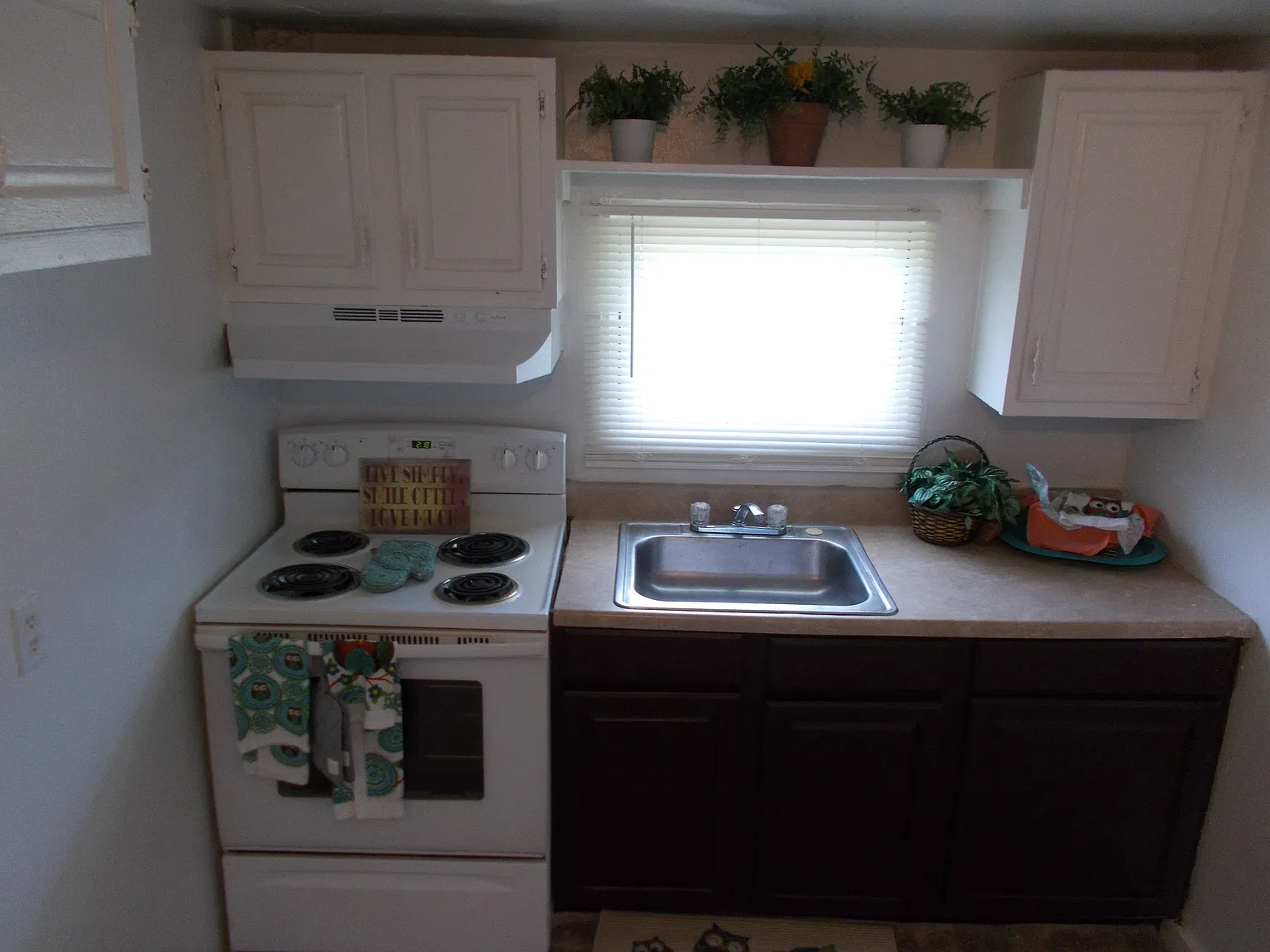 1 bed, 960 sqft, $1,179 — Photo 2
