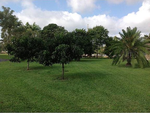 Garden with Fruit Trees