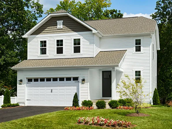 Coral Plan, Wilderness Shores