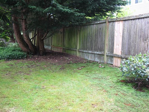 Premium side yard.  Grass for your furry friends.