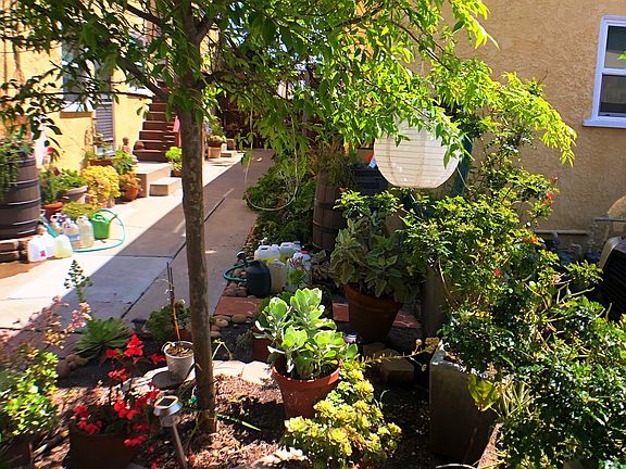 Garden full of both blooms & veggies kept vibrant by rain-water barrels & community compost.