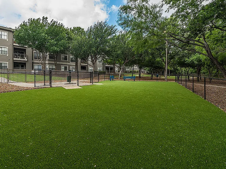 Walnut Hill Las Colinas — Photo 25