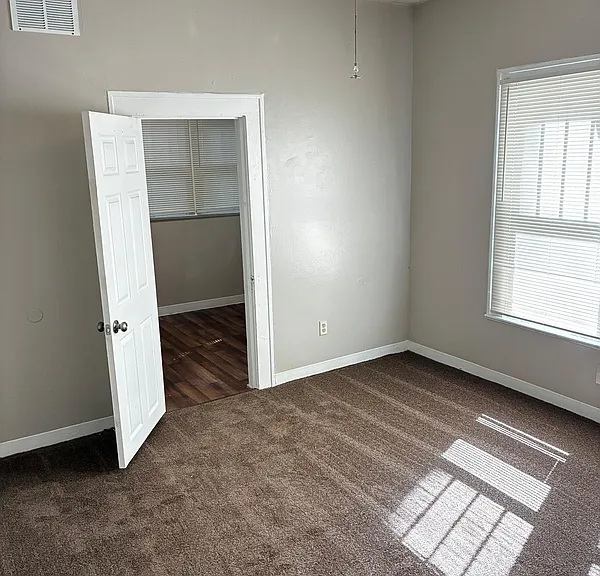537 Alder St — Photo 8