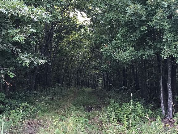 4th image of US Hwy 65 #2-39-22