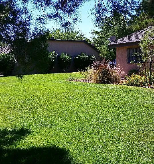 601 Buttonwood Ln — Photo 9