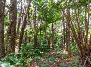 Ele Paio Rd LOT 16, Volcano, HI 96785