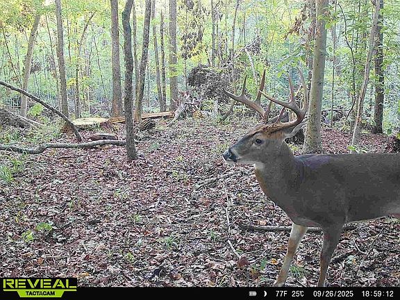 2nd image of 5 E State Rd #237