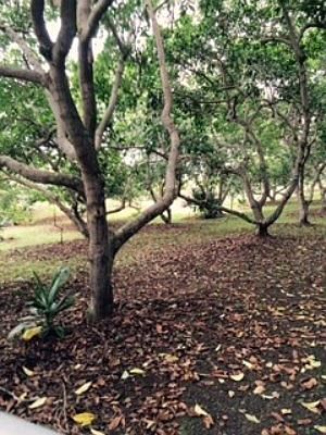 5th image of 73-4615 Kohanaiki Rd Lot 5-B
