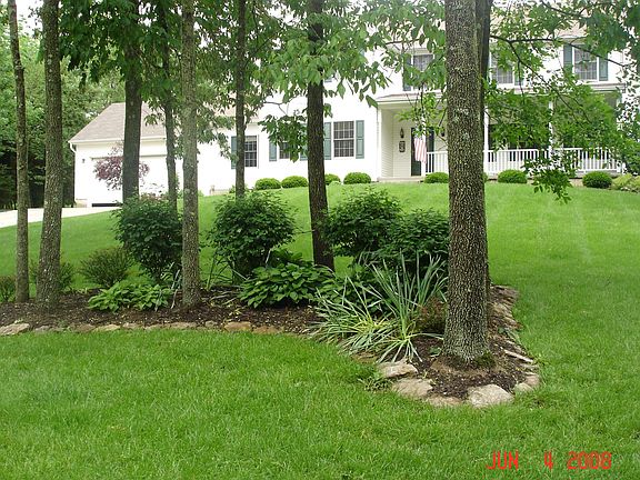 front lawn & all year landscaping