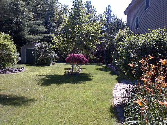 The yard