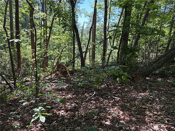 5th image of 225 Bay View Dr