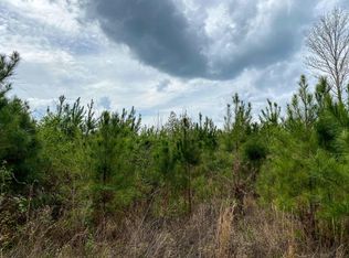 32 Vester Rowell Rd, Ovett, MS 39464
