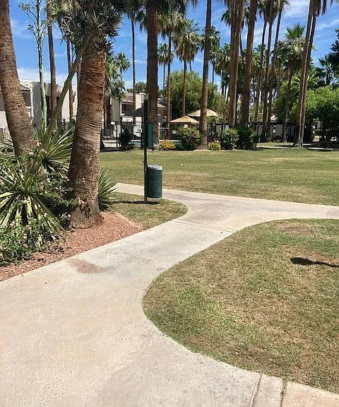 7350 N Via Paseo Del Sur #O110 — Photo 49