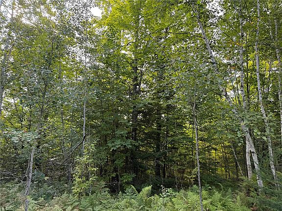 5th image of 9598 E County Road L