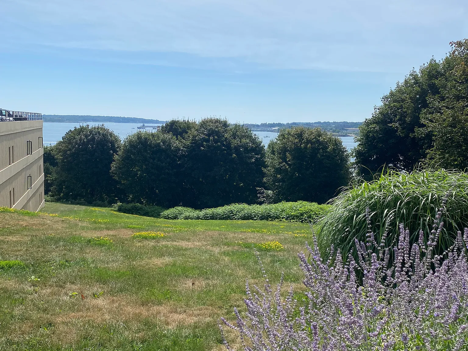 1 bed, 888 sqft, $2,970 — Photo 3