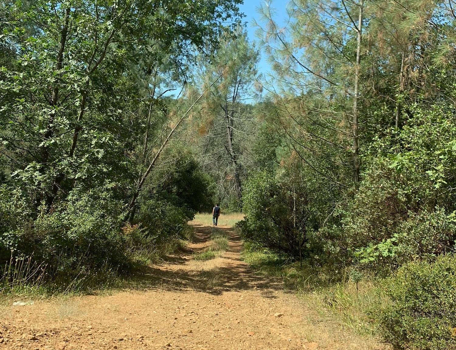 seaman-gulch-rd-bella-vista-ca-96008-zillow