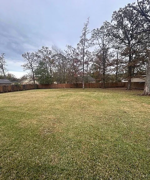 201 Cross Timbers St — Photo 4