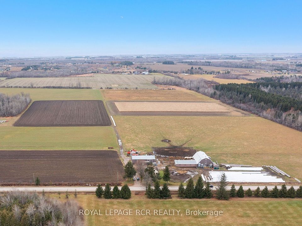 1st image of 553456 Mono Amaranth Line