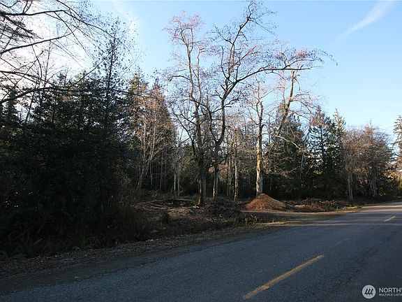 2nd image of 0 91st Ave SW