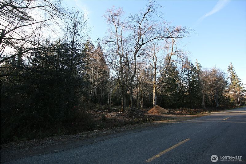 2nd image of 0 91st Ave SW