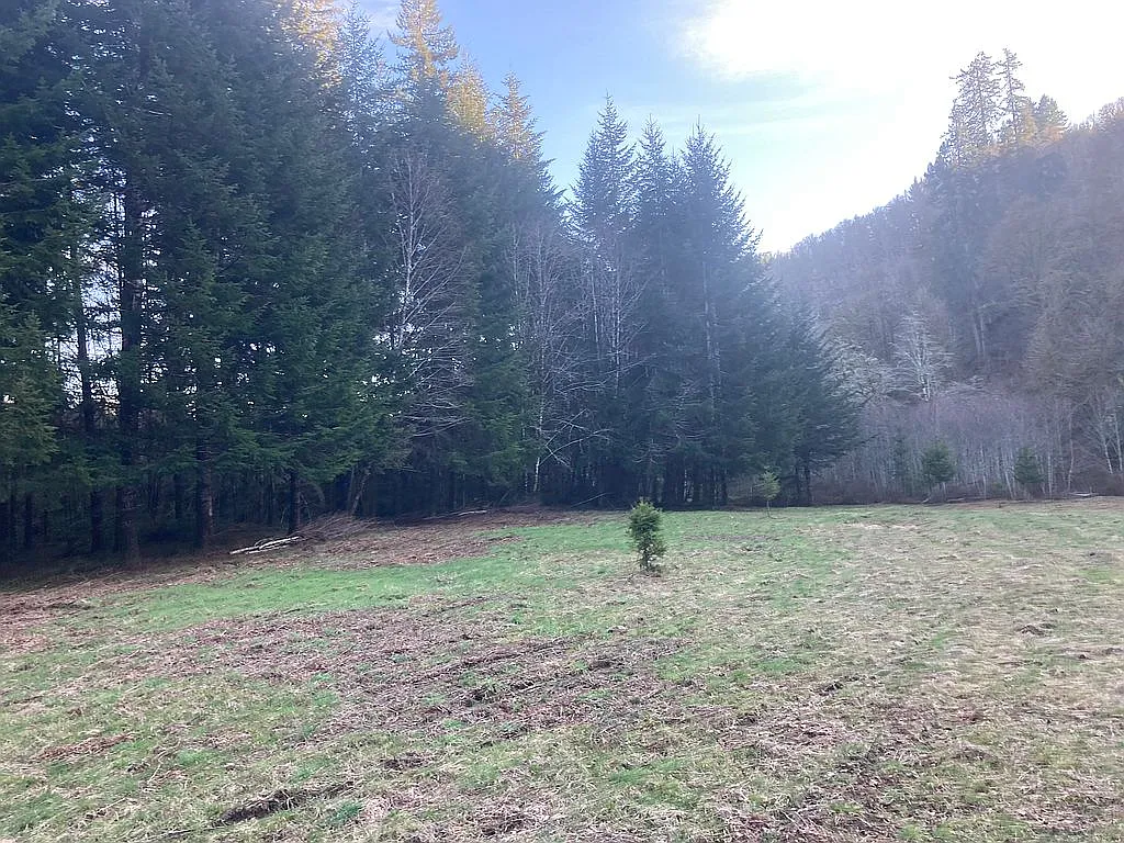 2922 Crystal Creek Loop photo 1