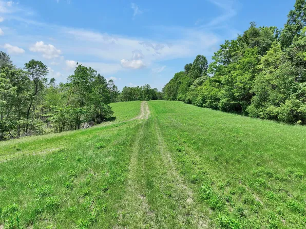 660 Rogues Fork Rd, Bethpage, TN 37022