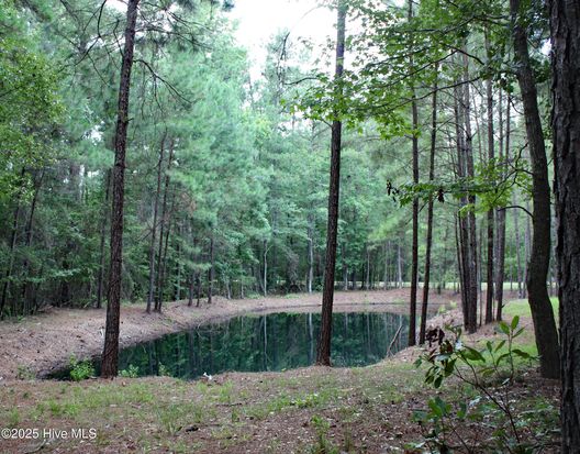 6781 Hanbury Place SW LOT 115, Ocean Isle Beach, NC 28469
